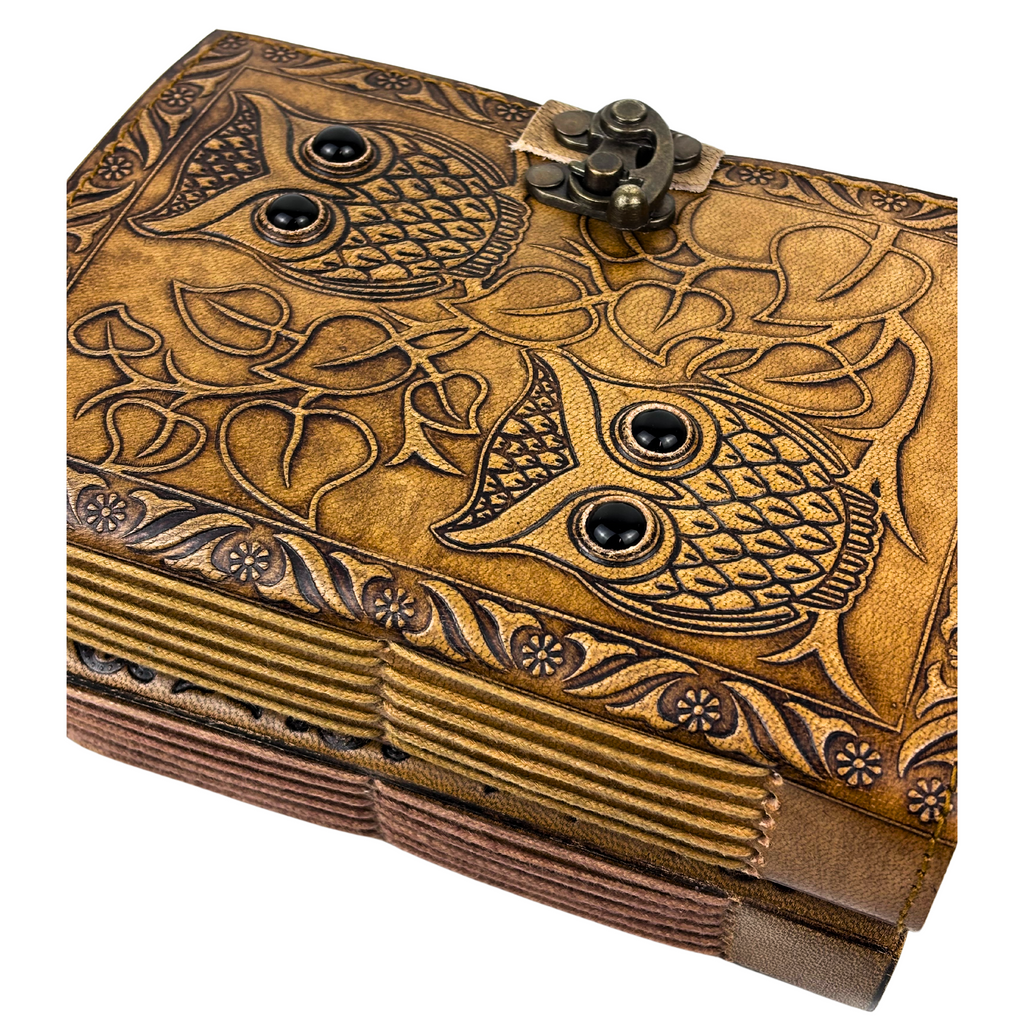 3J091 Twin Owl with Gem Stone Eyes Leather Journal 13x18cms